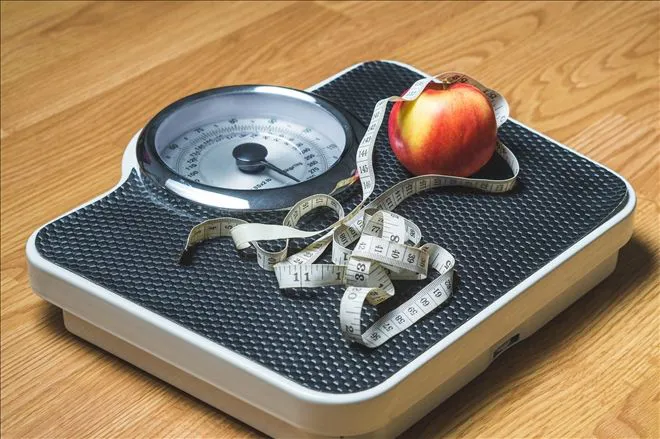 Sağlıklı Kilo Alma/Kilo Aldıran Besinler