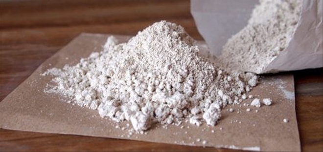 Diyatomlu Toprak İle Pirelerden Nasıl Kurtulursunuz?--