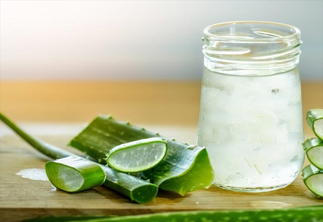 Aloe Vera Nasıl Yetiştirilir?--