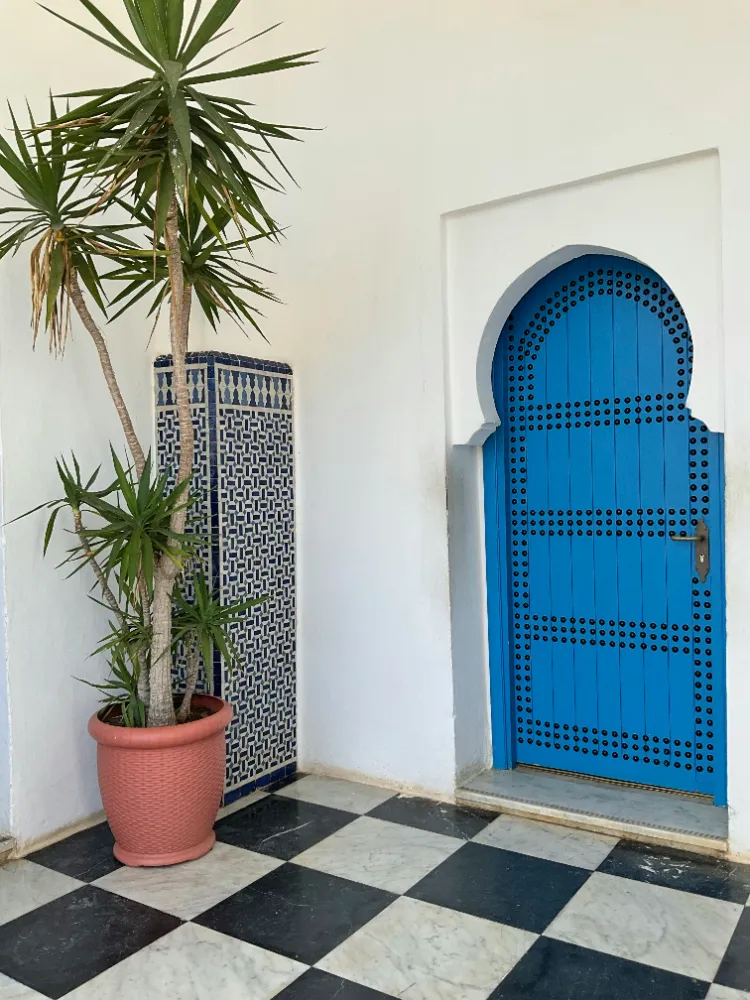 İç Mekan Palmiye (Areca Palm) Bakımı ve yetiştirme önerileri