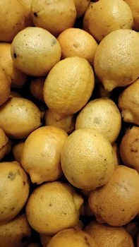 Limonun Mutfağınızda Kullanım Alanları